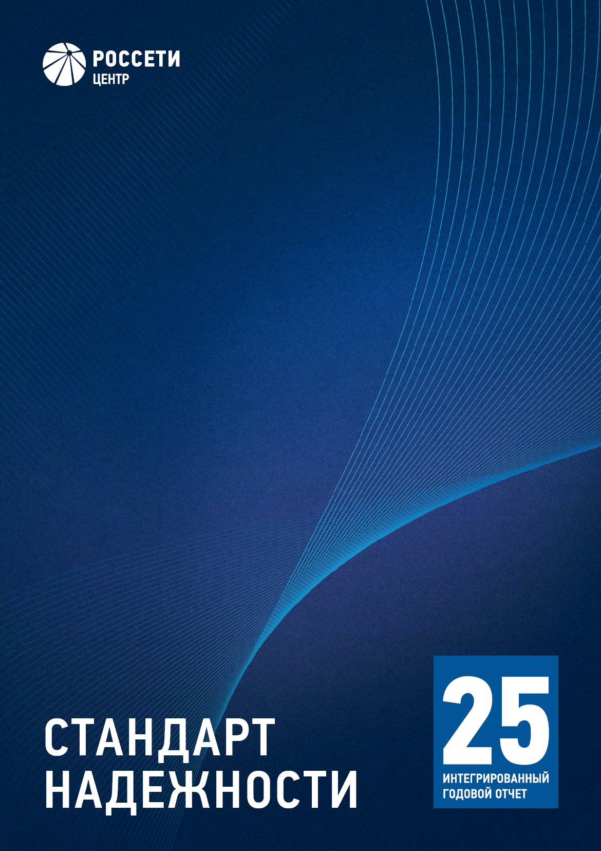 AnnualReports2025_TitlePage_Ru.png
