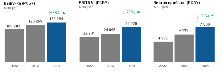 revenue_2024