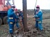 Энергетиков МРСК Центра наградили за  ликвидацию последствий ледяного дождя в Краснодарском крае