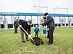 На субботнике белгородские энергетики высадили деревья и покрасили подстанции