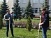 Lipetskenergo’s employees held a traditional clean-up event