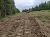 The branch “Rosseti Centre Tverenergo” perform work to remove chopping residues