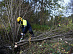 Work on the expansion of ROWs along overhead lines started in the Tver region within the Exercises of power engineers