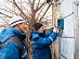 Employees of Belgorodenergo conducted a raid to identify theft of electricity in Starooskolsky district