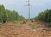 Implementation of Kostromaenergo’s annual program for clearing and expanding ROWs is on schedule