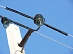 In 2016, 501 bird protection devices installed on overhead lines of Smolenskenergo