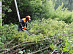 Voronezhenergo’s crews clear routes of power lines in Novousmansky district as part of exercises