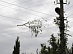 Power engineers restore electricity supply in the 0.4 kV network under consumers’ requests