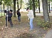 Сотрудники Брянскэнерго благоустроили Сквер энергетиков
