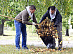 Tambovenergo’s Youth Council took part in the All-Russian environmental cleanup event “Green Russia”