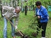 Power engineers of Tverenergo conducted a clean-up event in the territory of the sponsored children’s anti-tuberculosis sanatorium