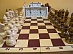 Представители МРСК Центра сделали победный «дубль» на отраслевом шахматном турнире в Тамбовской области