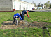 Power engineers performed voluntary Saturday work in 18 districts of the Lipetsk region