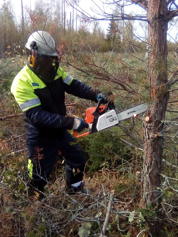 Бабушанов Александр%2c электромонтер Смоленского городского РЭС Смоленскэнерго.jpg