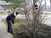 Employees of Krasninsky Distribution Zone of Lipetskenergo landscaped the territory