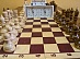 Representatives of IDGC of Centre made a winning "double" at the industry chess tournament in the Tambov region