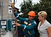 Экономия Белгородэнерго по программе энергосбережения сопоставима с годовым потреблением небольшого района